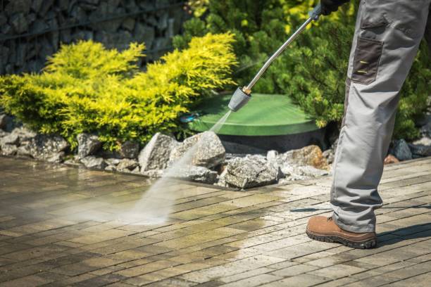 Boat and Dock Cleaning in Prince Frederick, MD